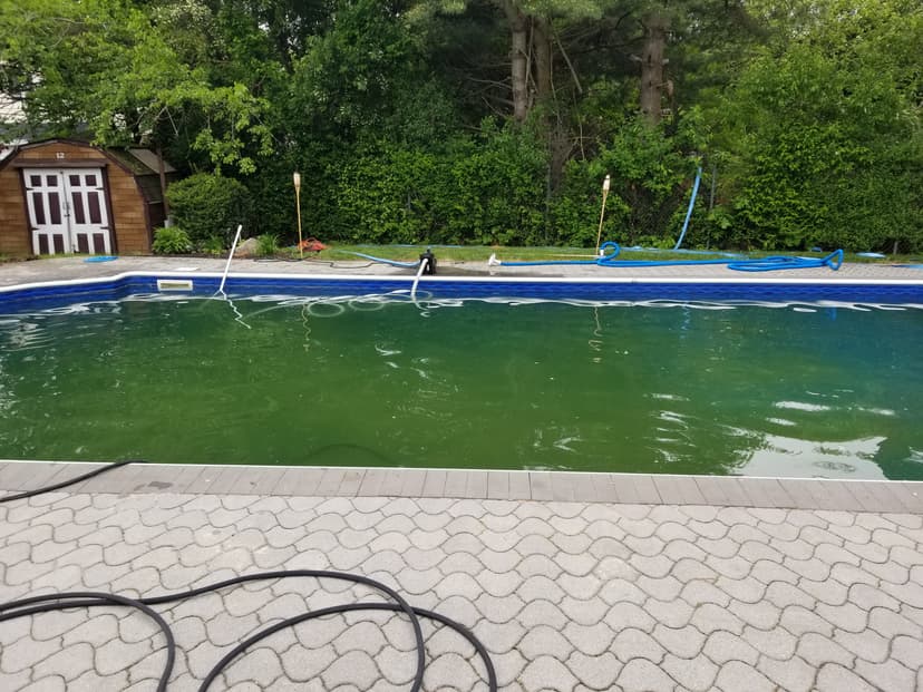 20180528_123440.jpg
