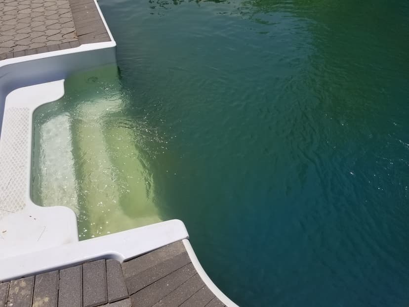 20180529_113046.jpg