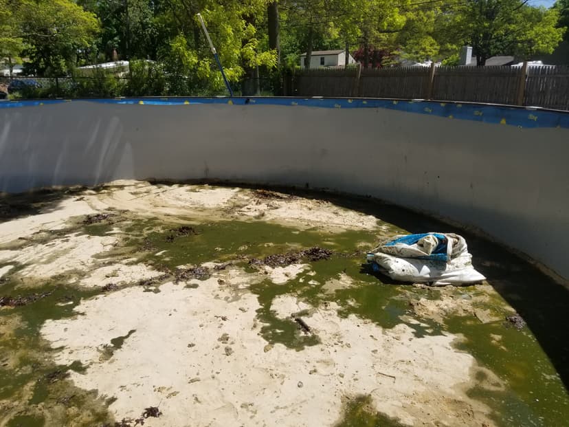 20190518_135239.jpg