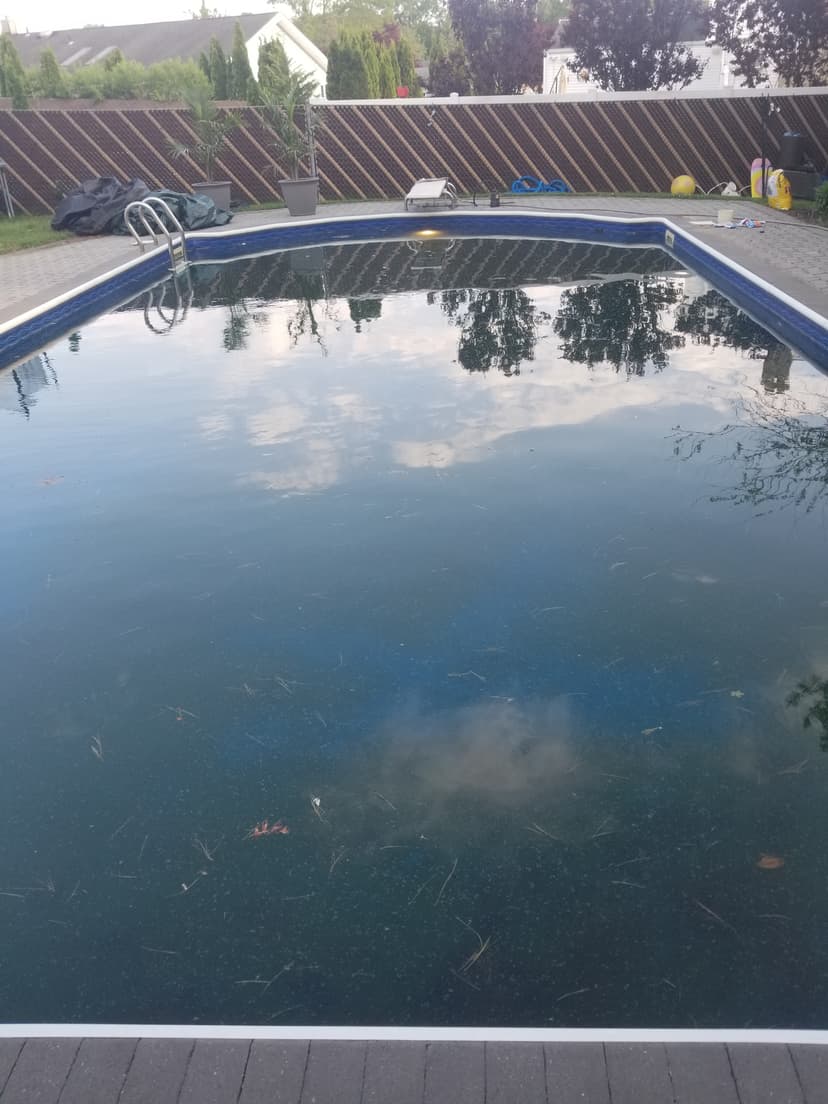 20190520_175915.jpg