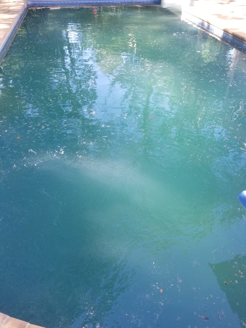 20190614_160702.jpg