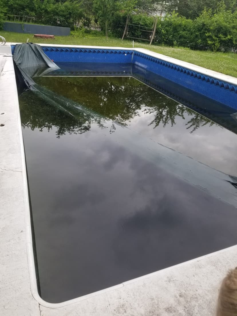 20190617_121519.jpg