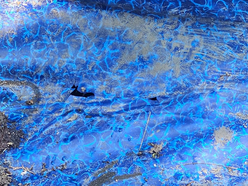 20230518_150638.jpg