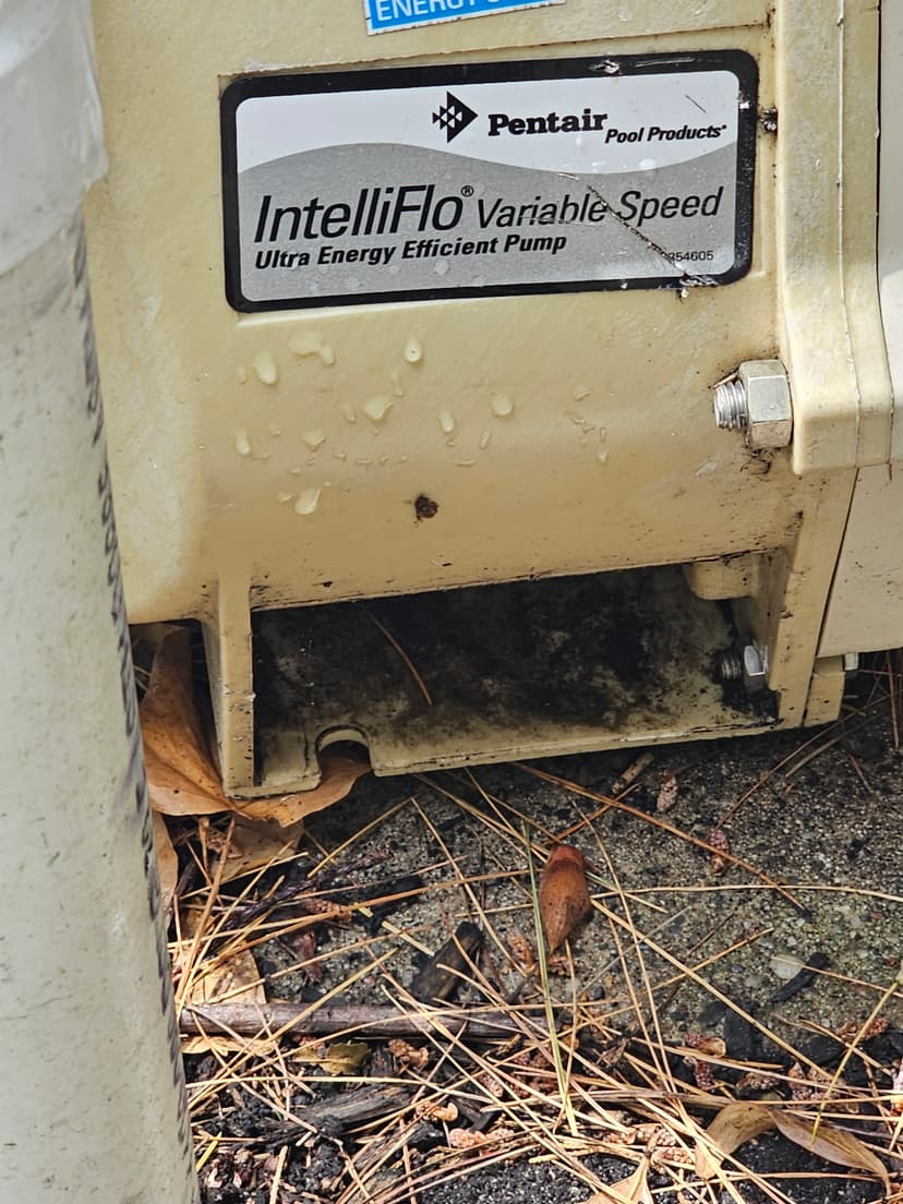 20230626_111725.jpg