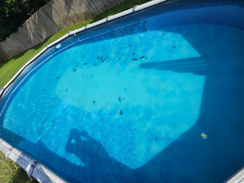 20230801_091002.jpg