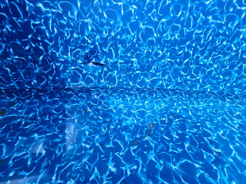 20230801_144920.jpg