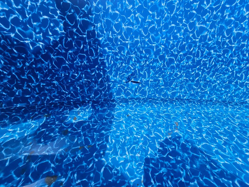 20230801_144950.jpg