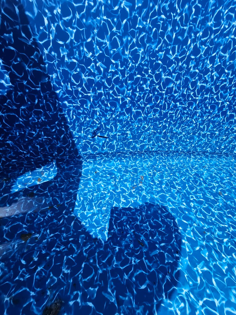20230801_144959.jpg