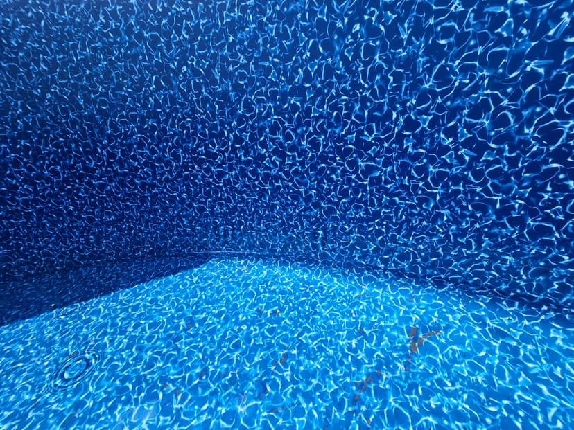 20230801_145012.jpg