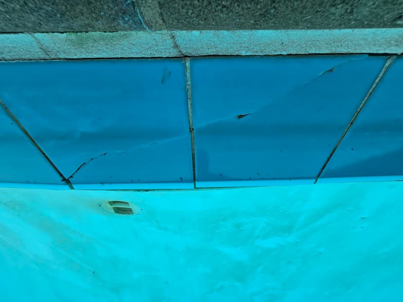 20230901_131908.jpg