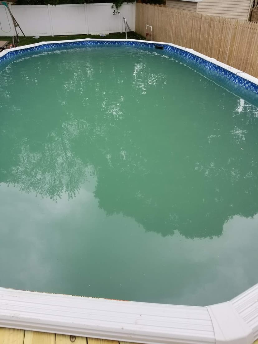 received_10214386177986059.jpeg